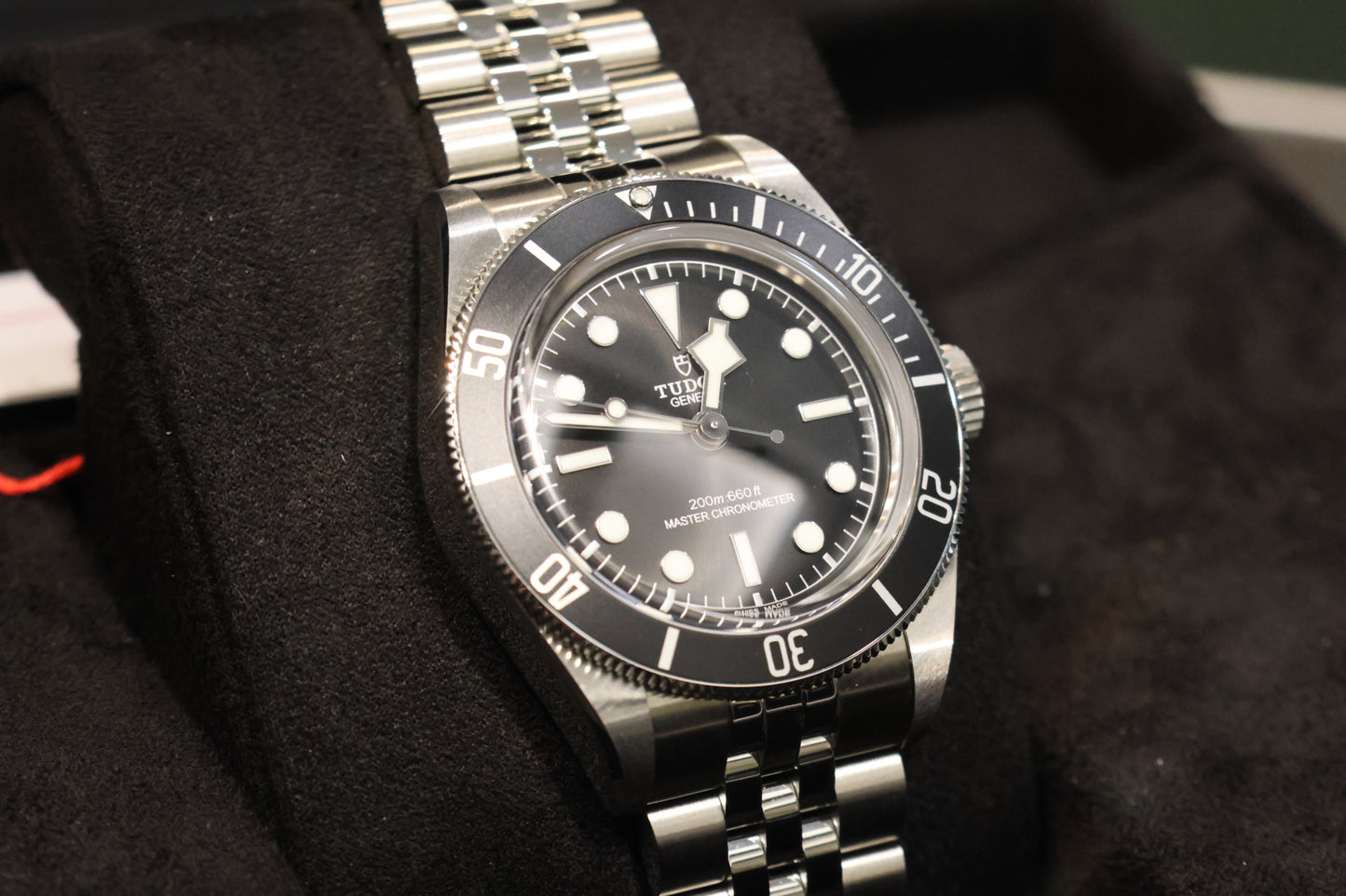 Tudor Black Bay