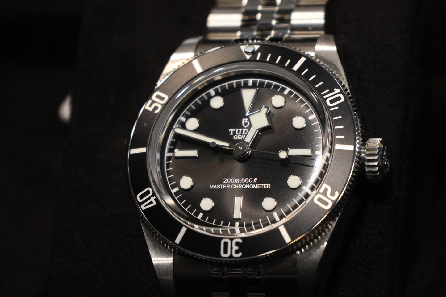 Tudor Black Bay